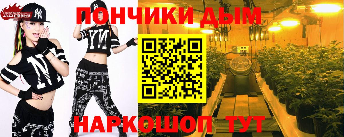 Каннабис конопля  Вход с VPN  Бошки Шишки сатива  Киселёвск 